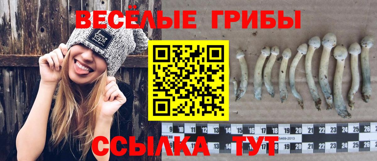 Псилоцибиновые грибы Psilocybine cubensis  Вход с VPN  Каспийск 